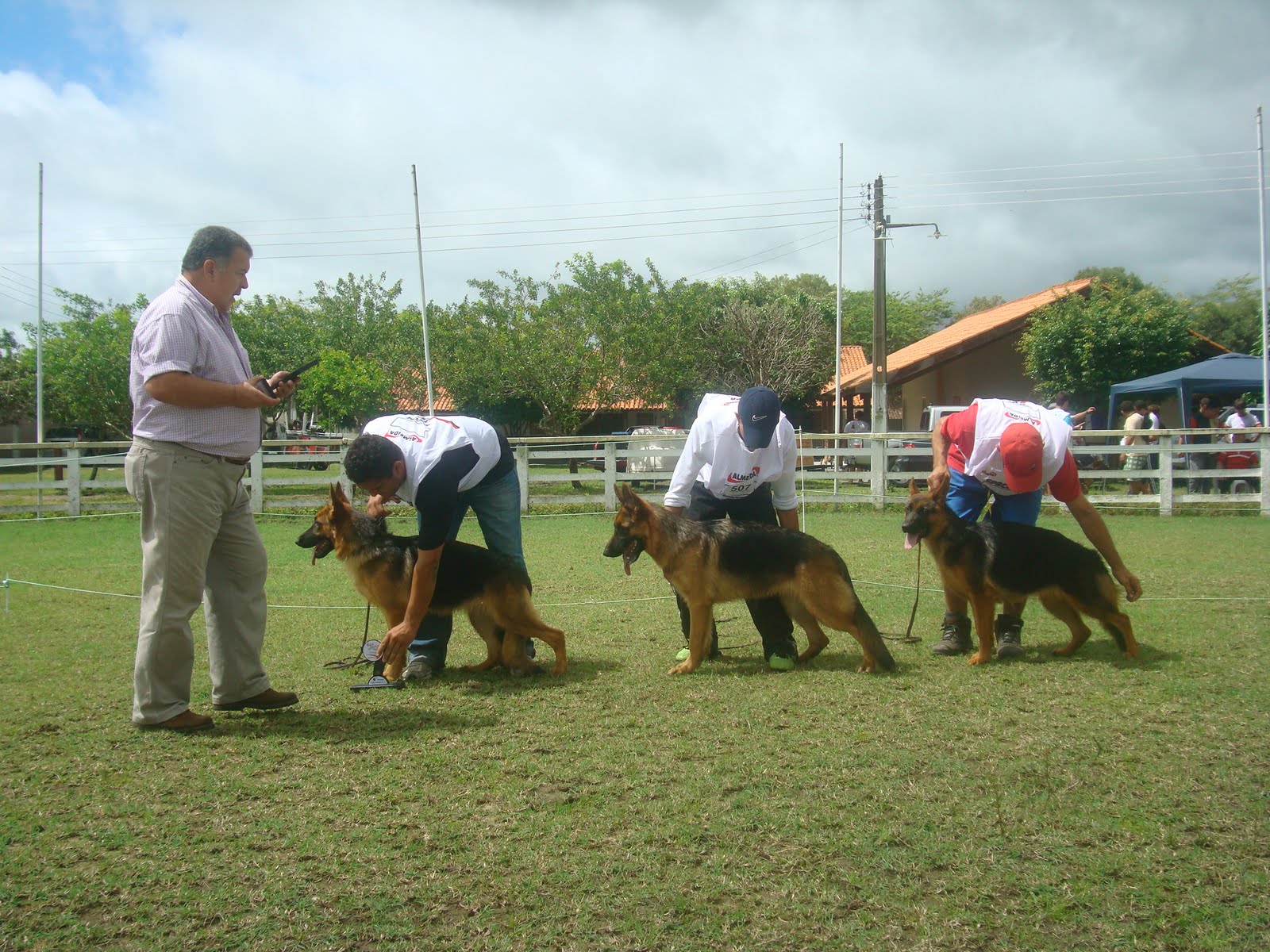 Sociedade Paraibana dos Criadores de Cães Pastores Alemães: RESULTADO