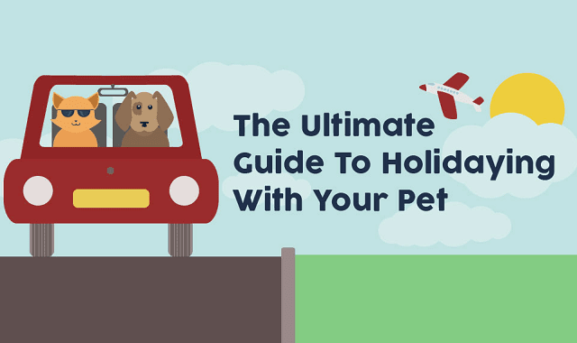 The Ultimate Guide To Holidaying With Your Pet