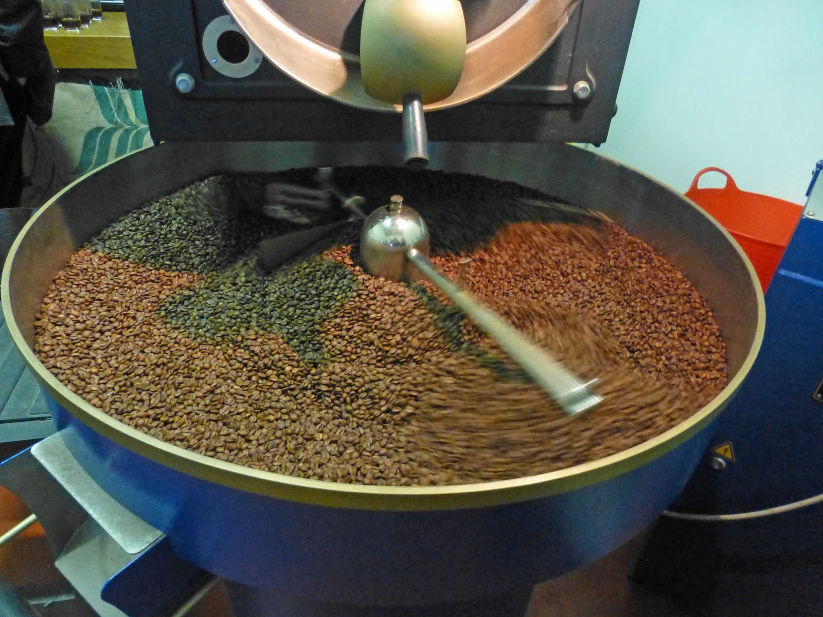 The Golden Bean. Kingston Making A Mark