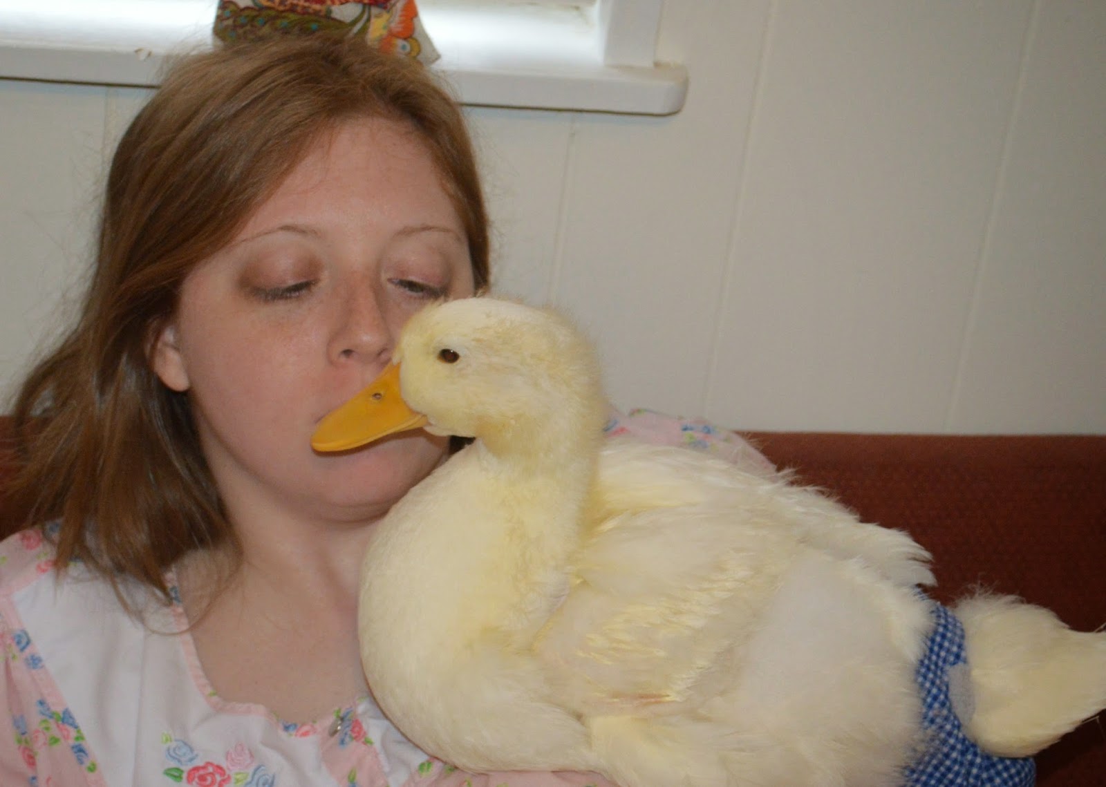 How I Keep My Duck Diapers So Clean Our Whiskey Lullaby