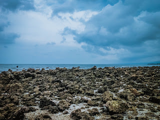 Coastal Land With Large Stretches Of Coral Reefs At Umeanyar Beach, North Bali, Indonesia