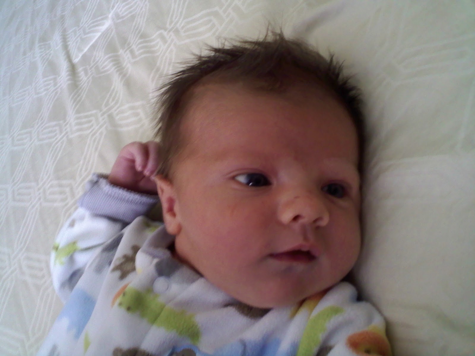 Nully Baby Blog: 2 Week Checkup