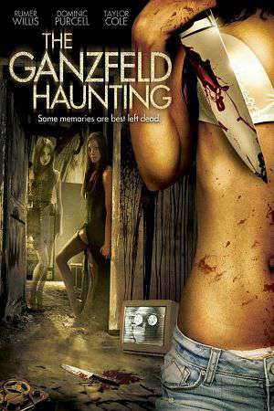 The Ganzfeld Haunting 2014 DVDRip 400mb