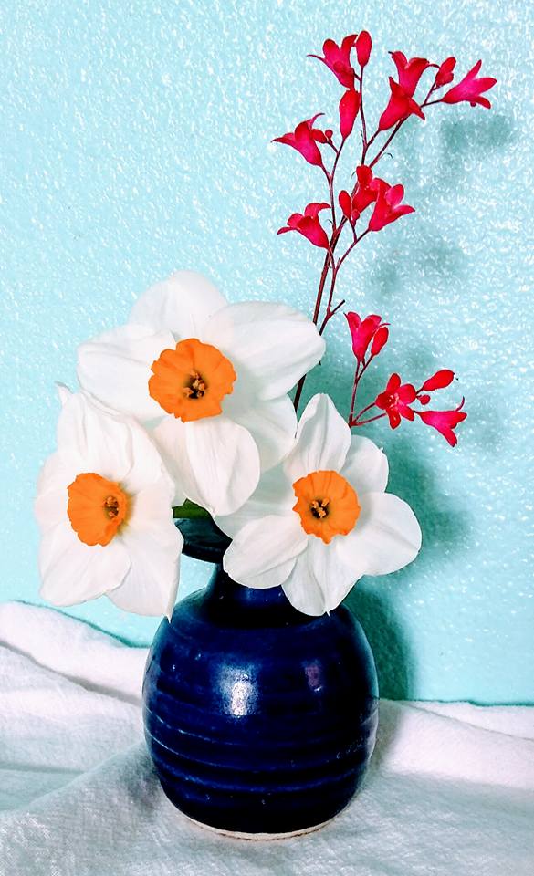 YankeeBelle Cafe Easy Baked Garam Masala Tilapia