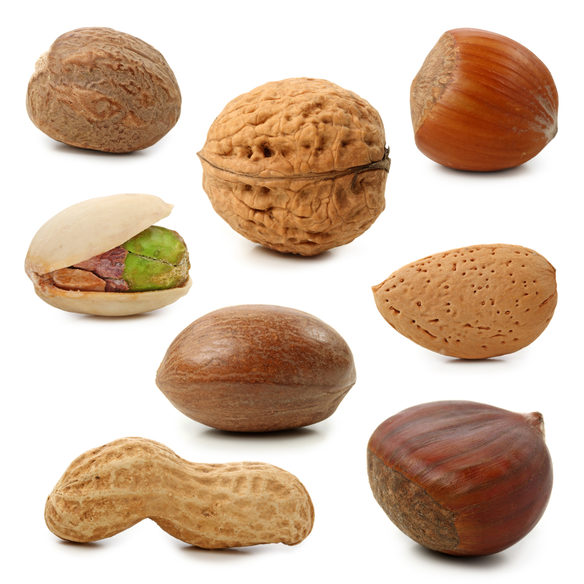 clipart pictures of nuts - photo #16