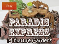 Paradis Express on 18th Jan 2012