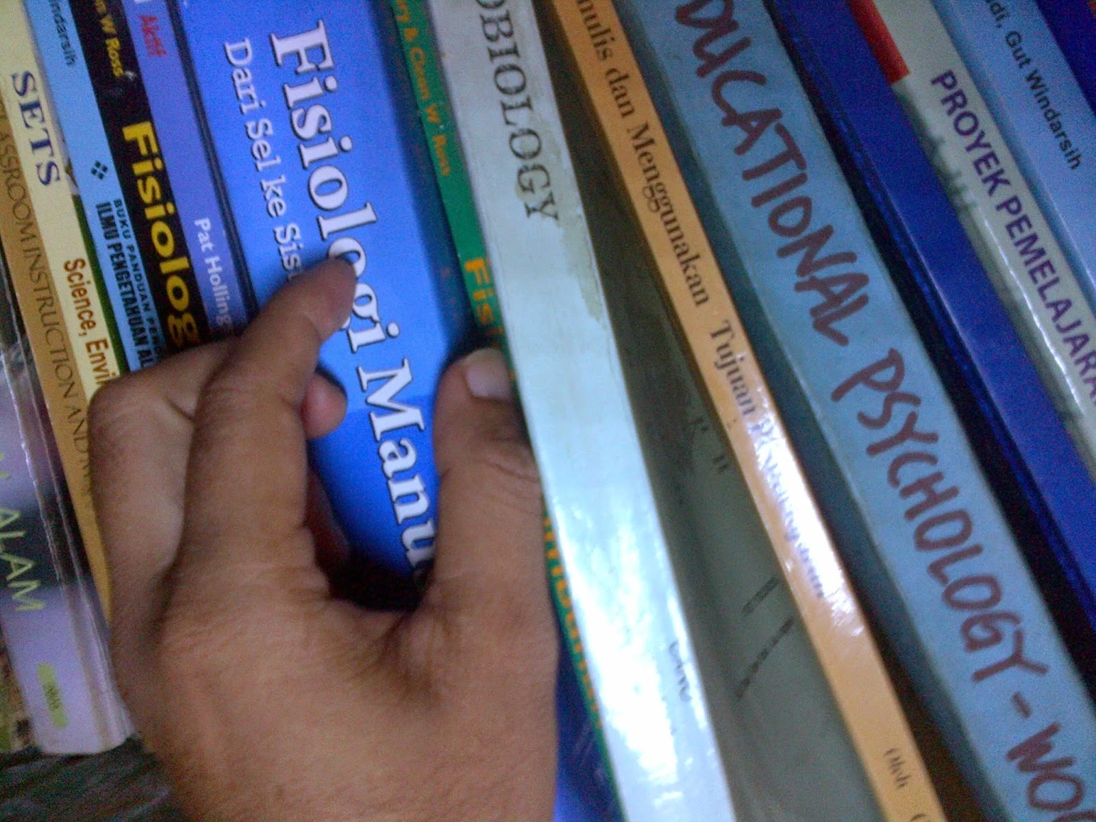 Tips Membaca Buku dengan Produktif di Tengah Kesibukan-www.perpustakaan.org