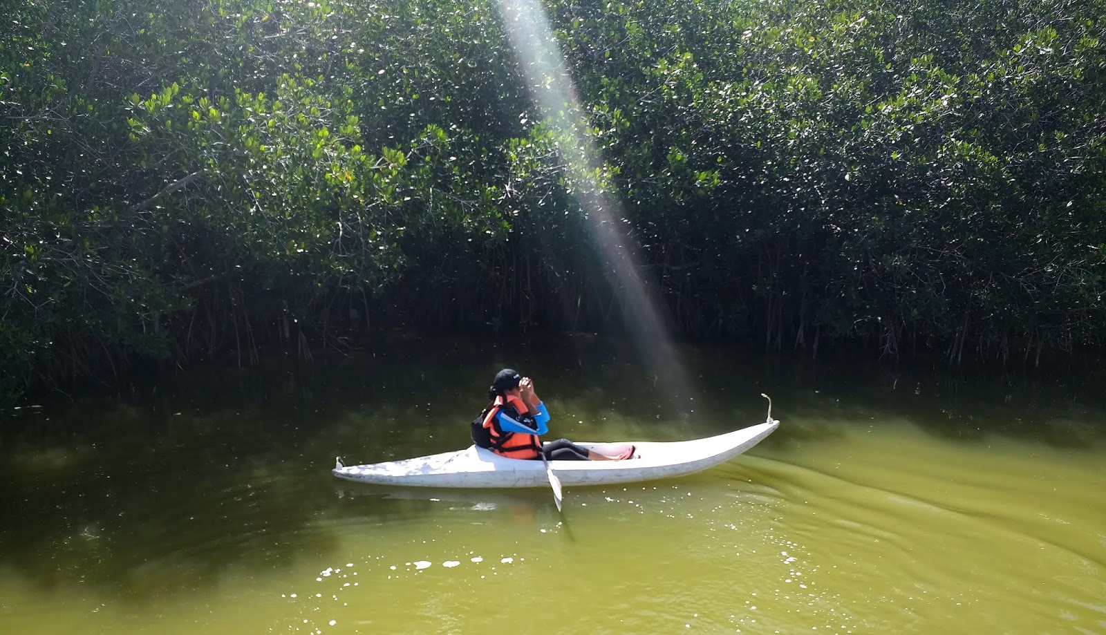 LUGARES PARA PRACTICAR EL KAYAK EN LA COSTA YUCATECA YUCATÁN COSTA