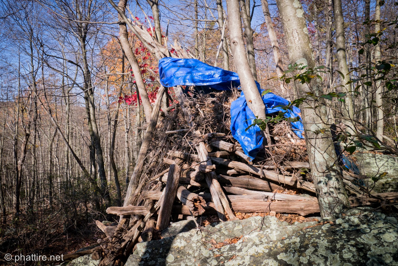 Squirrel Hunting Frederick Watershed