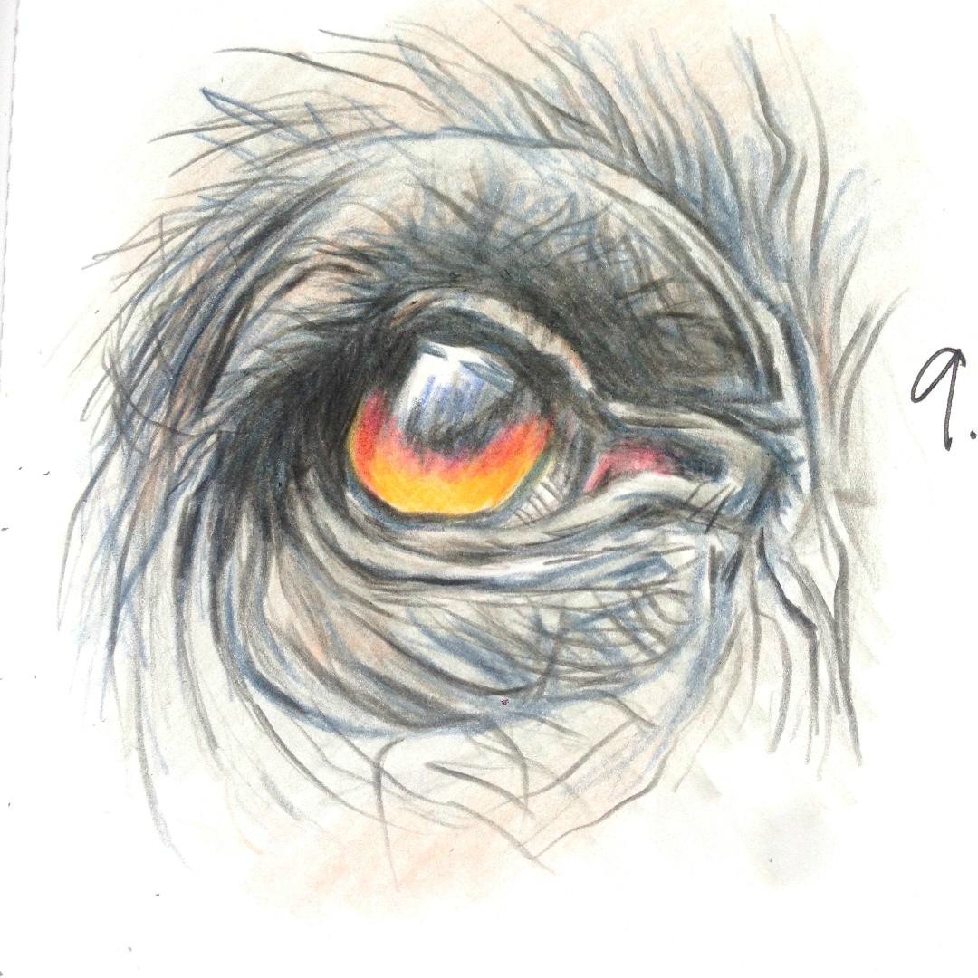 Happy Fun Hour Have You Hugged A Monster Today