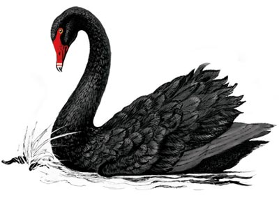 tyngdekraft Telegraf helvede Corporate Governance in Malaysia: Alice Schroeder: "Many Black Swans Make  the Metaphor Meaningless"