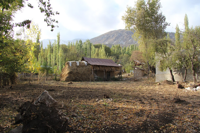 Kirghizistan, Arslanbob, © L. Gigout, 2012