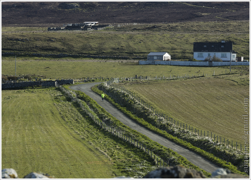 The Constant Gardener 2007