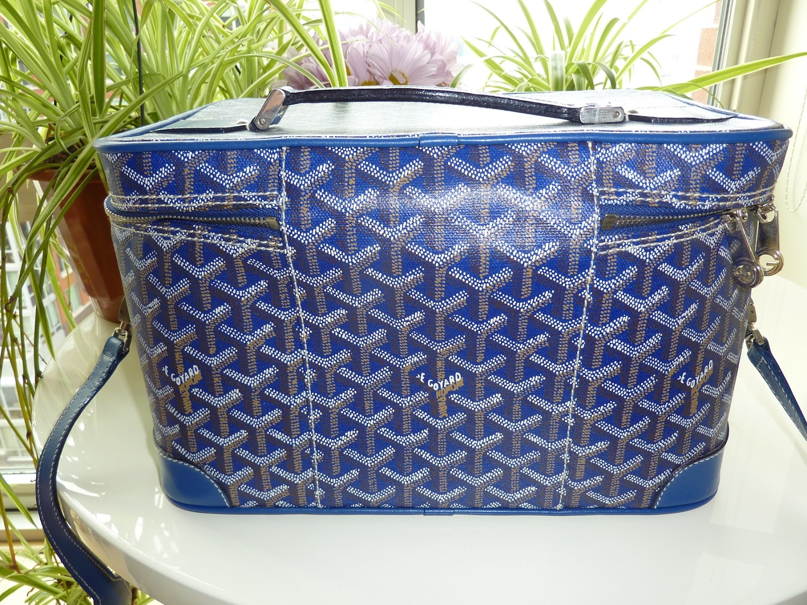 Musings of a Goyard Enthusiast GOYARD Train or Beauty Case