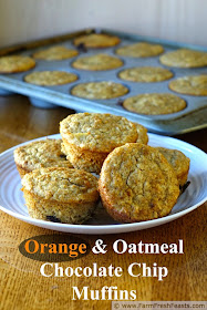 http://www.farmfreshfeasts.com/2014/12/orange-oatmeal-chocolate-chip-muffins.html