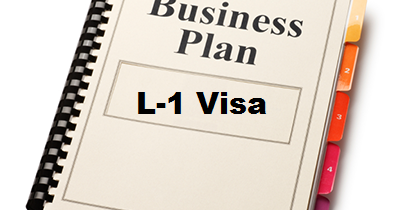L1a business plan picture