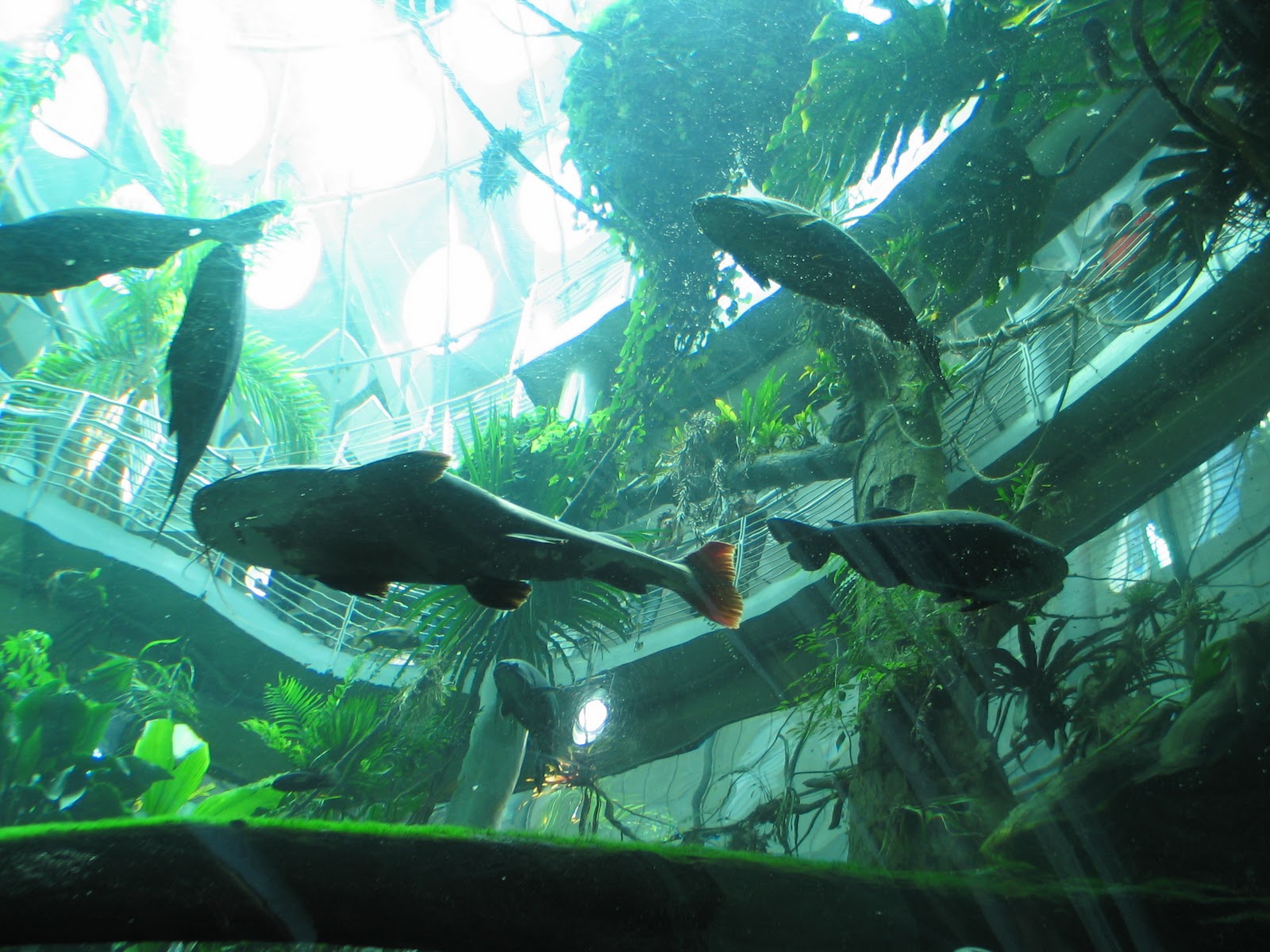 Sea Reach Adventures San Francisco to Santa Barbara