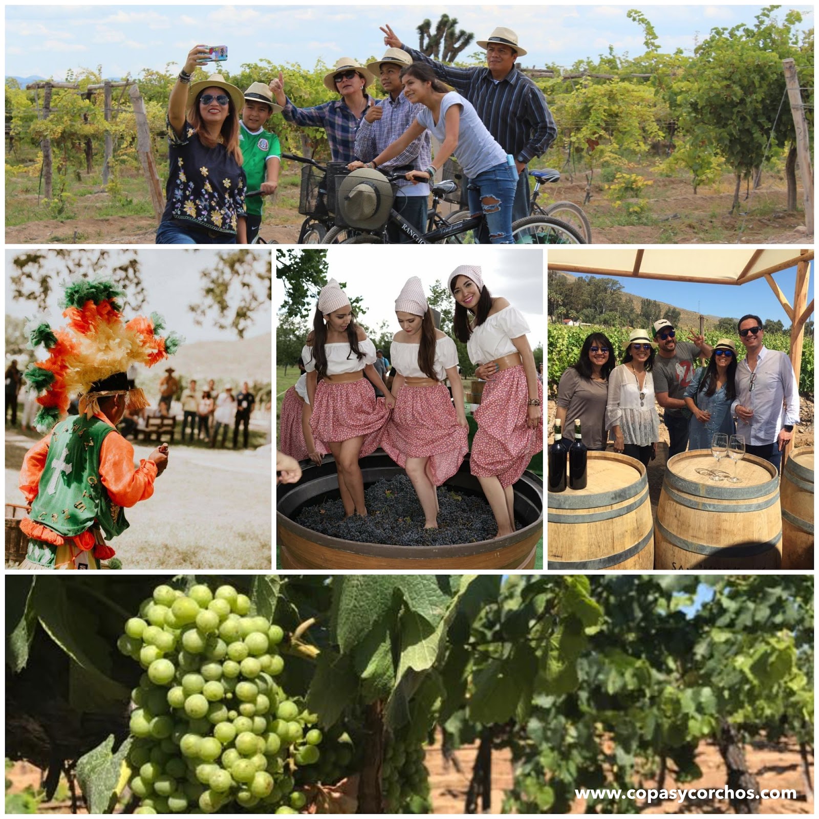 México se prepara para las Fiestas de la Vendimia