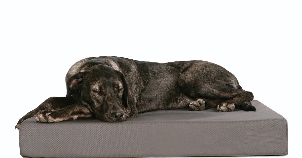 DOG SHOP Indestructible Dog Beds for Chew Resistant Dogs