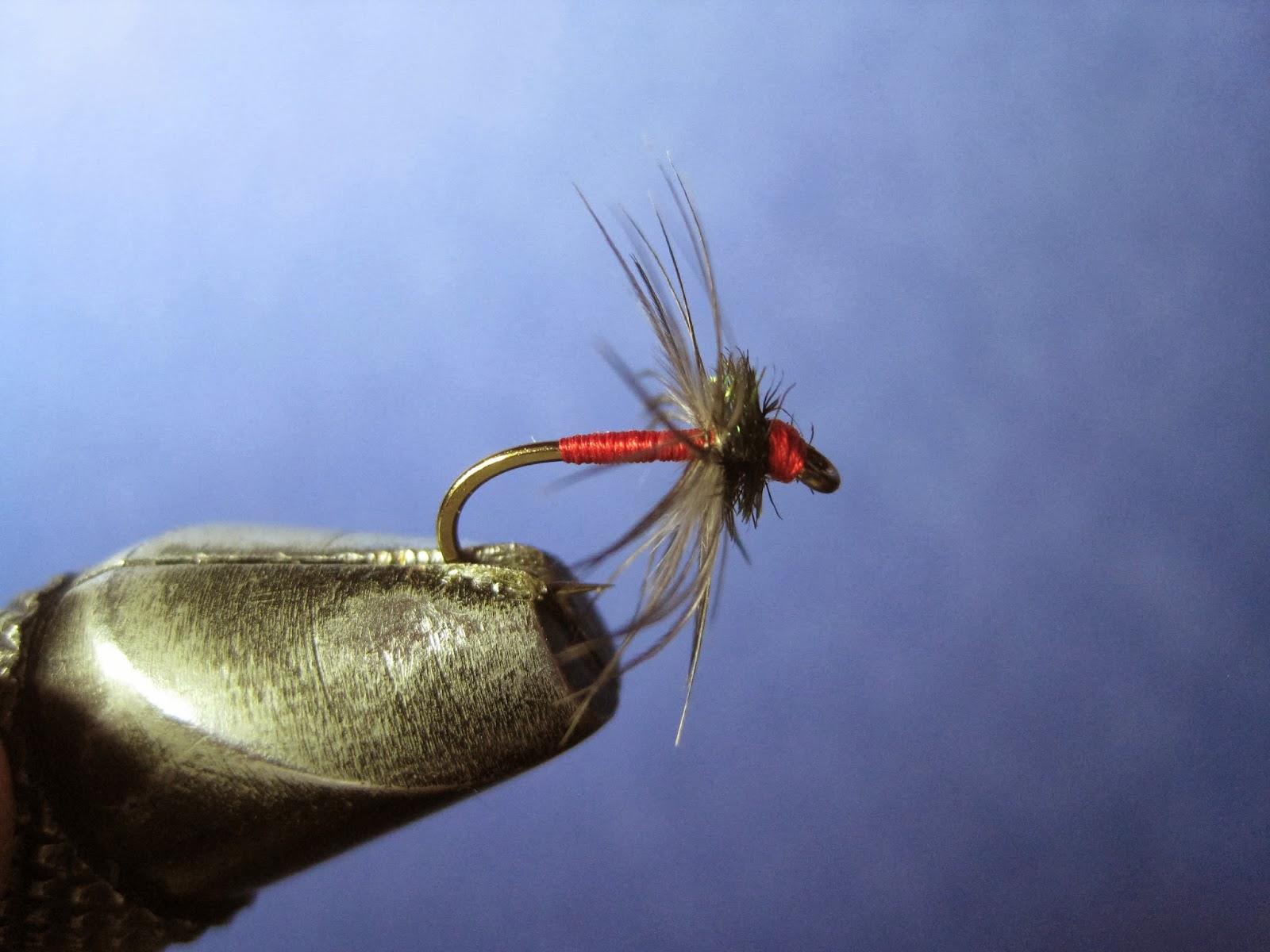 The North River Light Spanish Needle