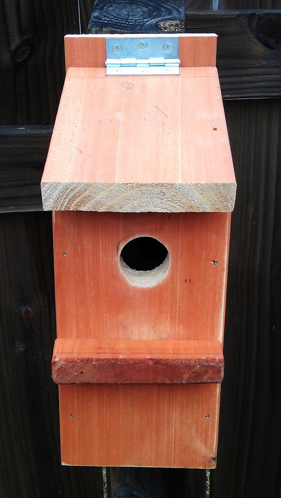 diy-15-minute-bluebird-house-cost-0-5