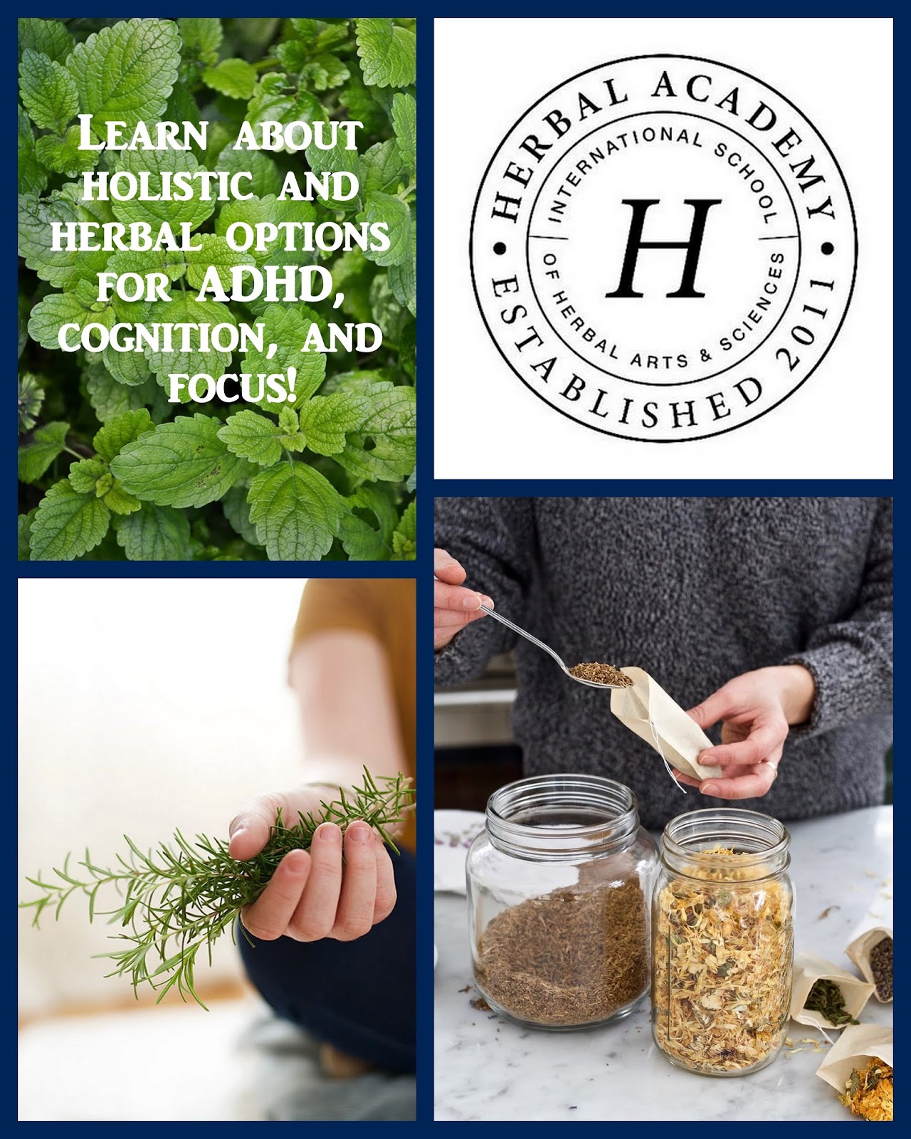 Eccentric Eclectic Woman Learn About Holistic and Herbal Options for