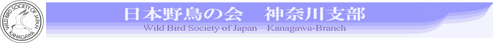 日本野鳥の会神奈川支部