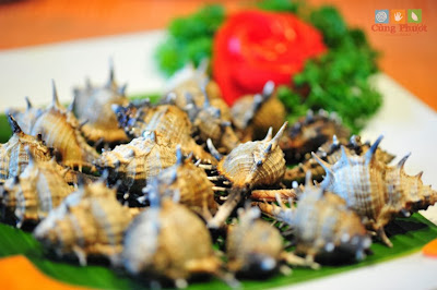 Ẩm thực ốc gai ở đảo Phú Quốc