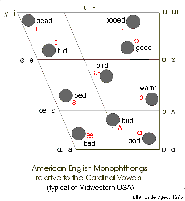 Jessica's Australian Accent Blog Week 5 Vowels