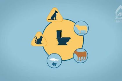 Macam-macam Najis  menurut Islam LENGKAP