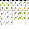 Calendrier Lunaire Jardinage A Imprimer