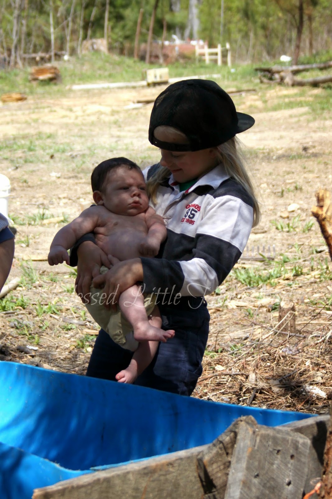 Blessed Little Homestead The Homestead Journal Week 128 Baby Animals