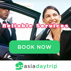 airport-transfer-best-services-banner-250x250.jpg