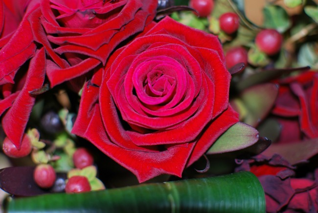 Prestige-flowers-valentines-bouquet-eight-days-later