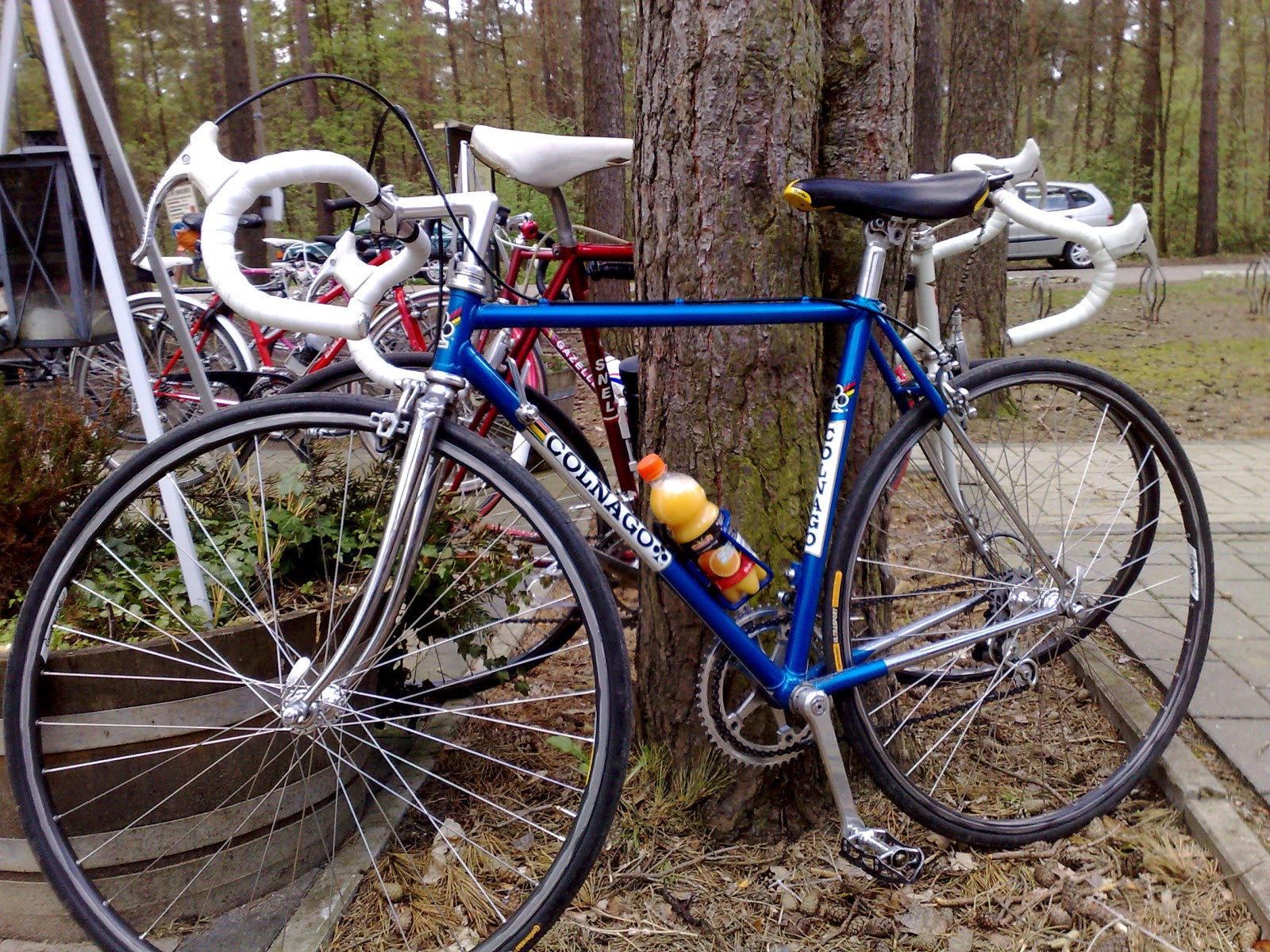 Fabio Farelli: Staal in Paal