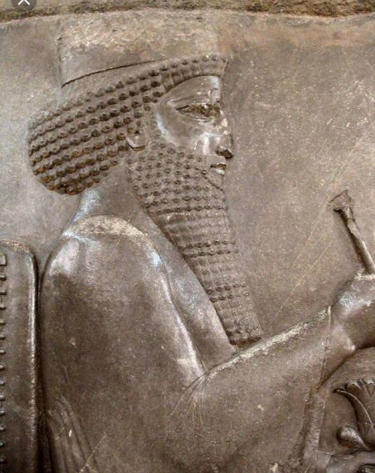 amudu Darius the Great, the Persian master of half the known world