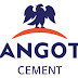 Dangote Cement, Nestle lead losers’ chart on NSE