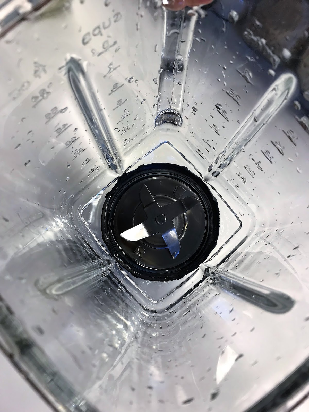 Family FECS Magimix Power Blender (Le Blender 11626SK) vs Vitamix