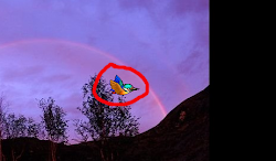 bird software kingfisher desktop hardware story safe try