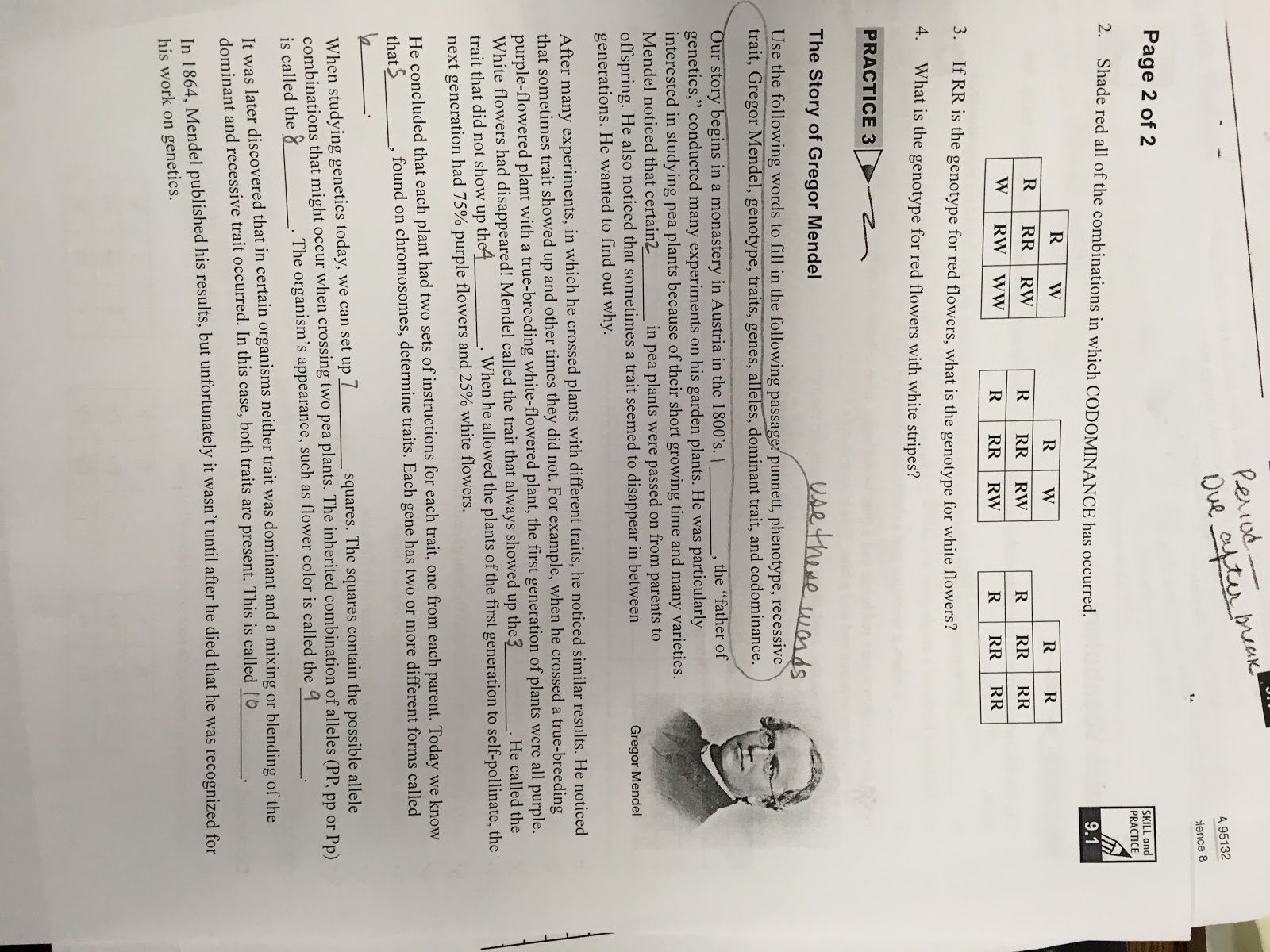 Cpo Science Skill And Practice Worksheets Answers - Free Printable