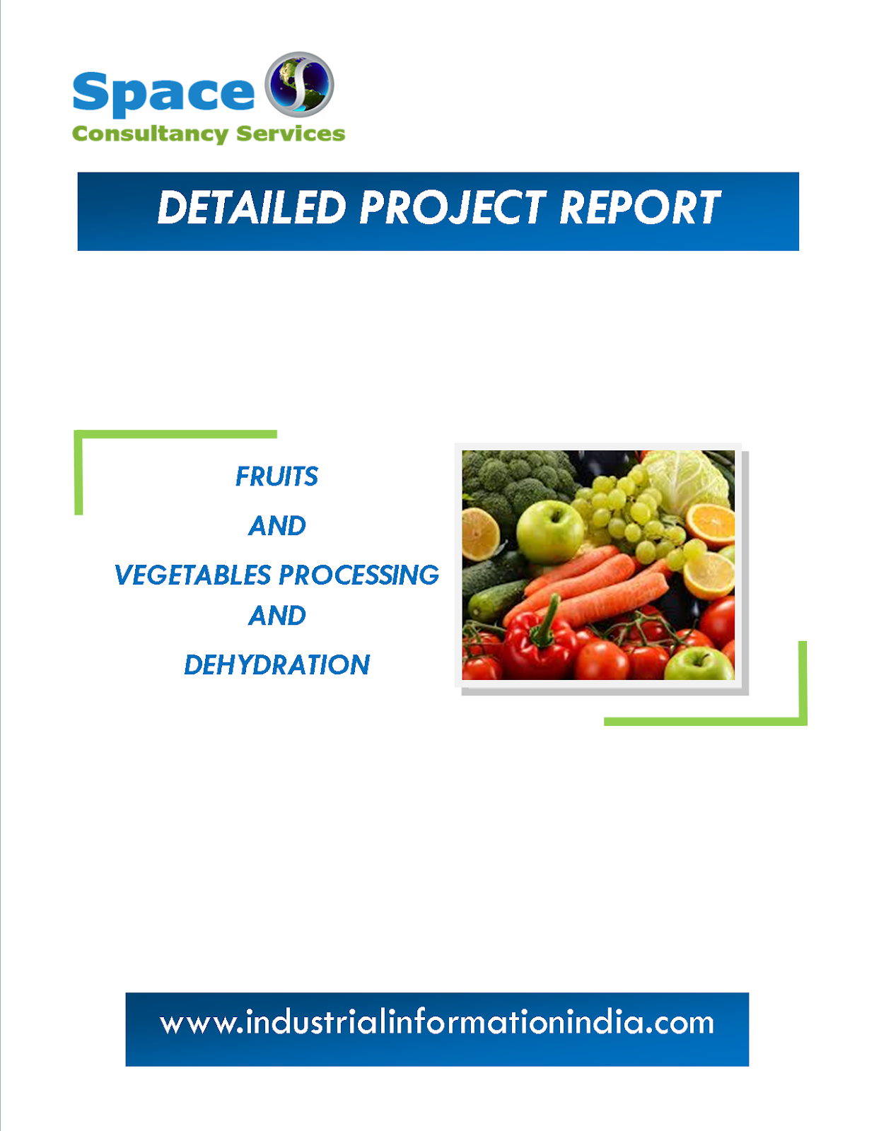 Fruits and Vegetables Processing and Dehydration Project Report Space