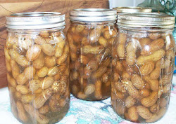 boiled peanuts canning freezing recipes pressure peanut recipe boil cooking canned cookingwithmaryandfriends cajun canner jar friends