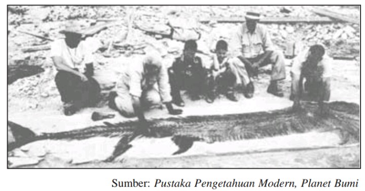 Pengertian Sejarah Menurut Ahli