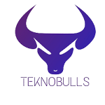 TeknoBulls