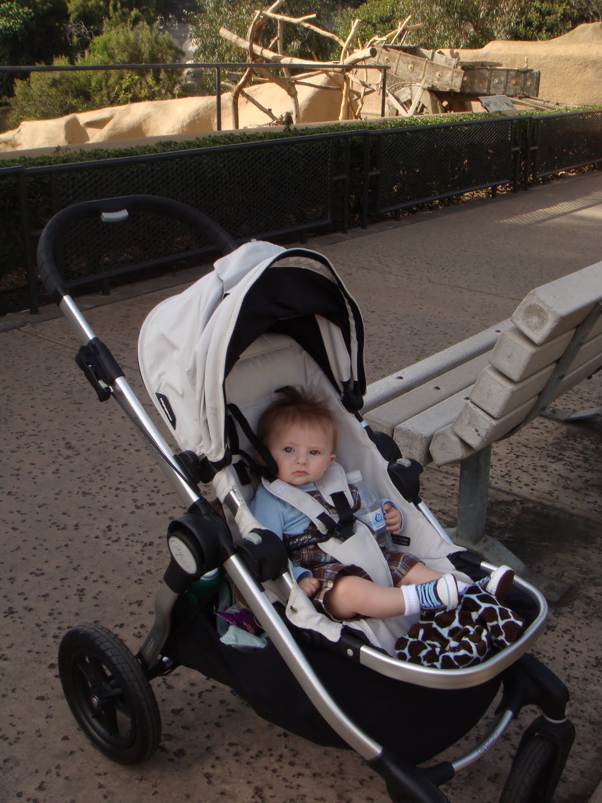 it's me, andrea. The zoo post that's all about the stroller.