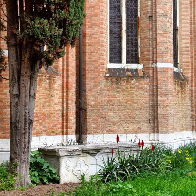 Jardins Cosmopolites Eloge Du Pittosporum