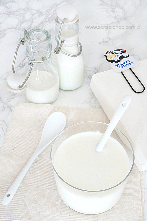 Yogurt e yogurt greco homemade