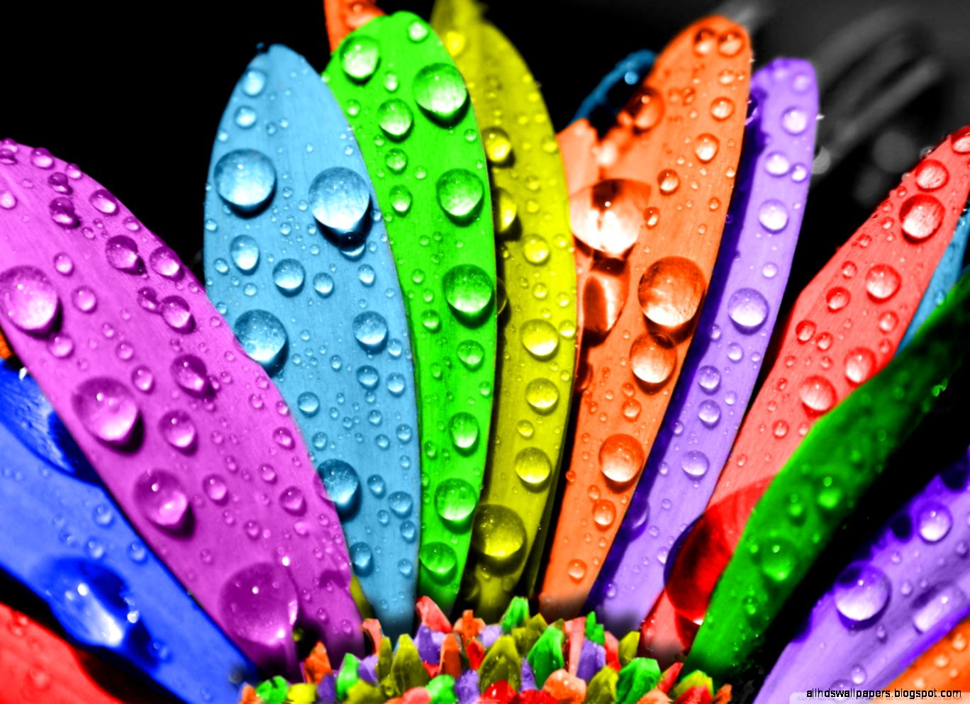 Colorful Desktop Wallpaper Exceptional Colorful Desktop Wallpaper Exceptional
