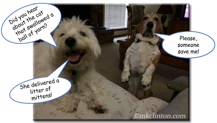 Barking From The Bayou