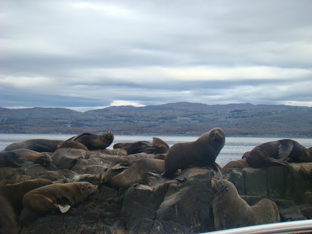 Ushuaia, crucero por la Patagonia. Que hacer, a donde ir, que visitar